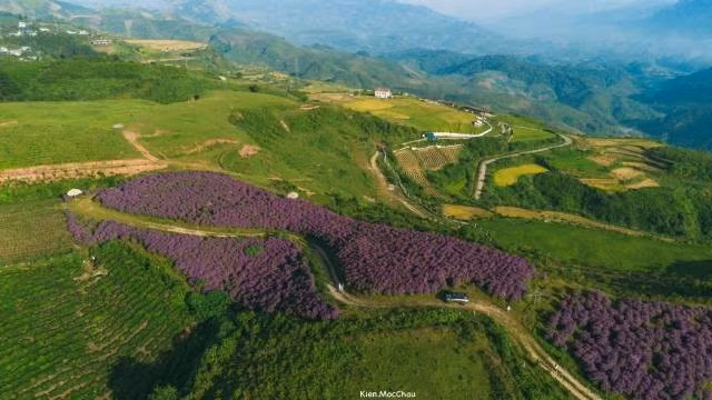 Panorama de Suoi Bon. Photo : sgtt.thesaigontimes.vn