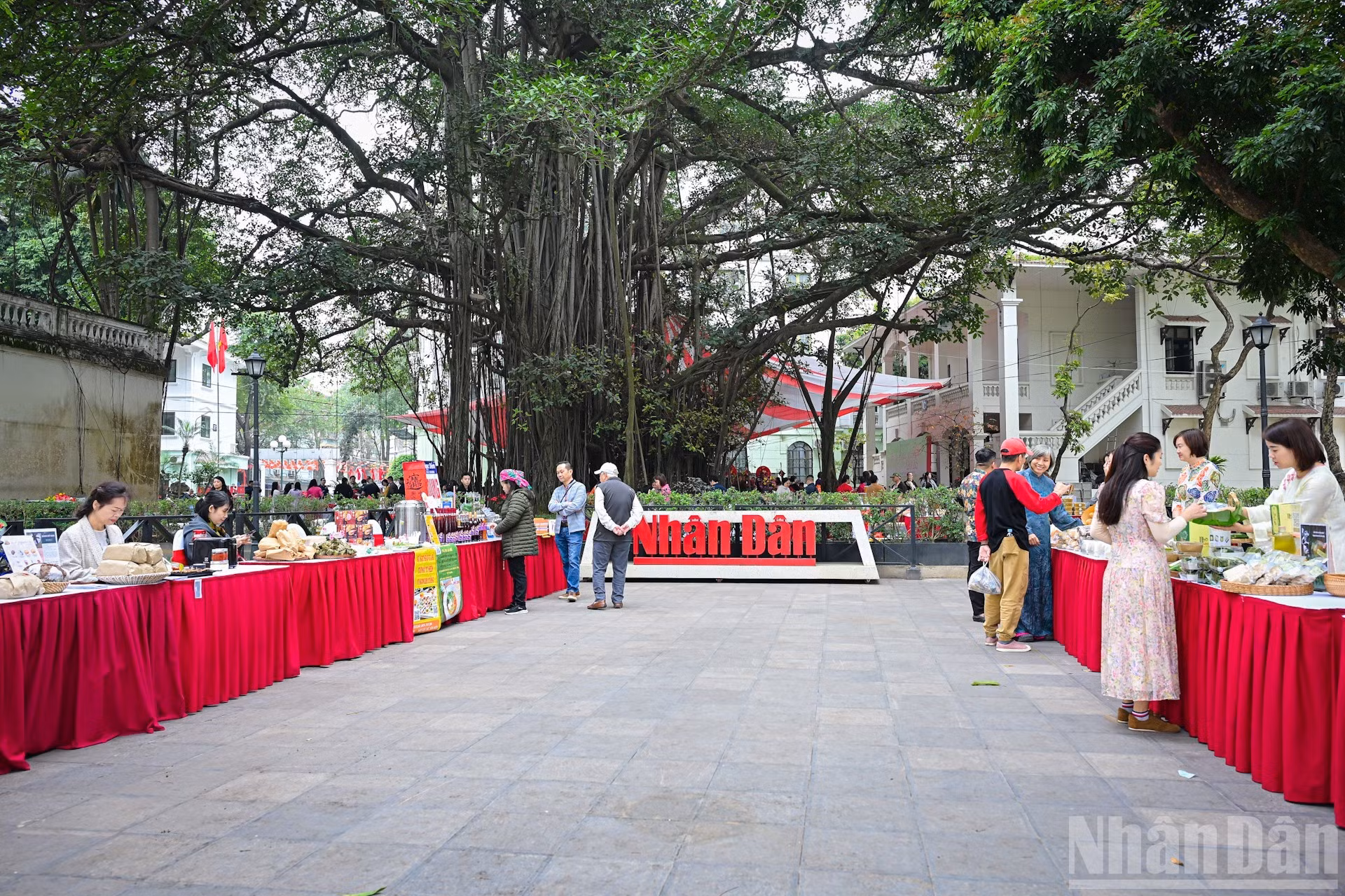 img-2770.jpg