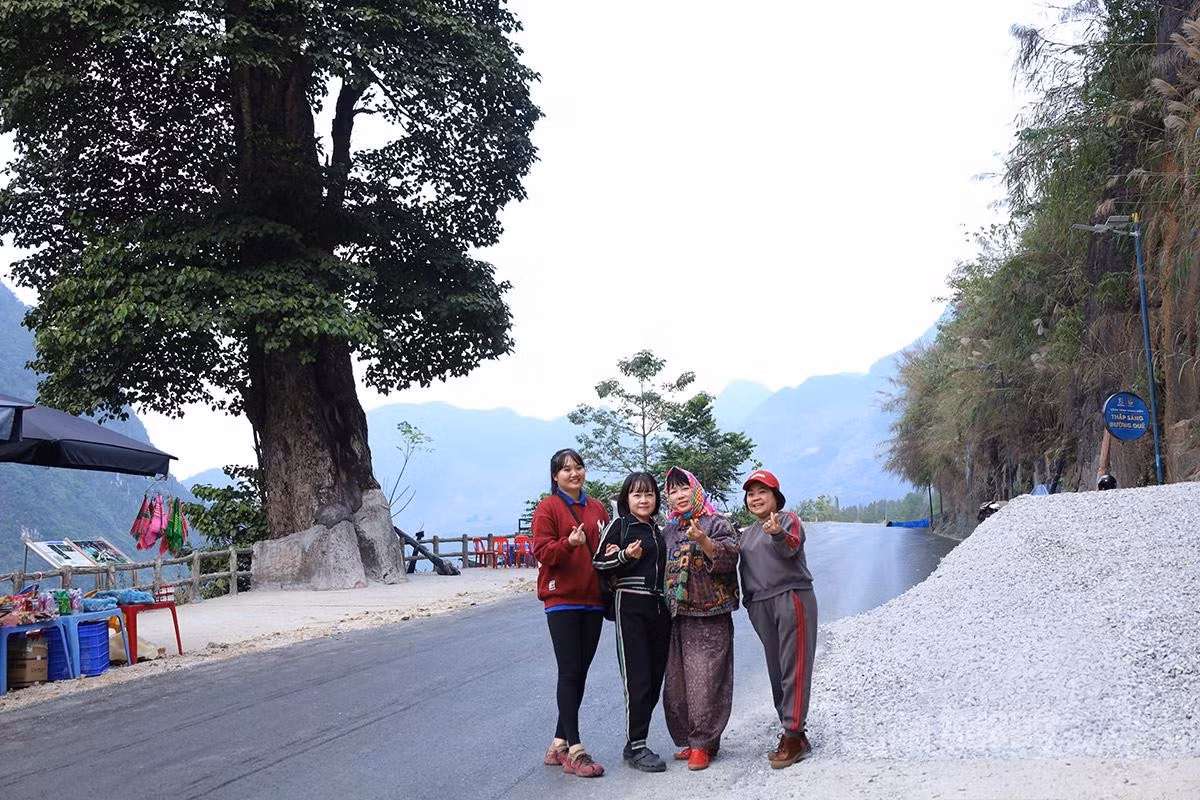 L’« arbre solitaire » de Can Ty, dressé au cœur du paysage rocheux, est devenu un point de check-in familier des visiteurs lors de leur exploration du plateau karstique de Dong Van.