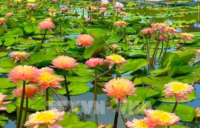 3-95.jpg