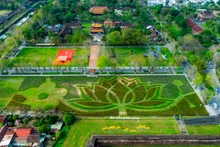 Le jardin printanier au cœur de la Cité impériale de Huê. Photo : tienphong.vn