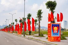 Un ensemble de panneaux, affiches et banderoles célébrant le XIVᵉ Congrès national du Parti est installé avec éclat le long de l’axe routier Dinh Dien. Photo : baoninhbinh.org.vn