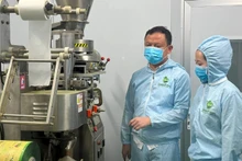 La chaîne d’emballage de thé matcha de Tran Van Tan. Photo : nhandan.vn