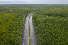 La route de Rung Sac traverse la forêt de Can Gio, septembre 2025. Photo : vnexpress.net