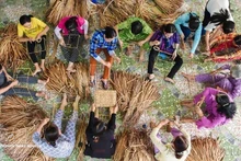 Le partenariat entre l'UFV et Unilever Vietnam a été déployé dans 21 villes et provinces, avec des activités concrètes adaptées aux réalités locales, ayant un impact positif sur la vie de plus de 100 000 femmes.. Photo : VNA.