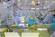 Chaîne de production d’aloe vera de VietFarm. Photo : VNA.