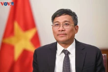 Le vice-ministre permanent des Affaires étrangères, Nguyen Minh Vu,