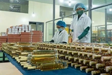 La société à responsabilité limitée Triêt Minh investit dans la modernisation de ses chaînes de production et l’application de technologies modernes. Photo : VNA.