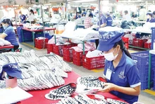 Des ouvriers au travail dans une entreprise privée de la province de Dong Nai. Photo : nhandan.vn