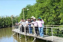 Des touristes visitent et découvrent les forêts de mangroves des communes côtières de l'île d'An Hoa, dans la province de Vinh Long. Photo : VNA.