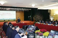 Lors de la séance de travail. Photo : VNA.