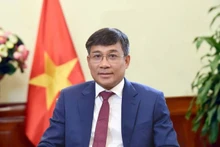 Le vice-ministre permanent des Affaires étrangères Nguyên Minh Vu. Photo : VNA.