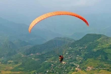 Photo : tuoitrethudo.vn