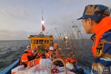 Le navire 628 de la Brigade 161 (Commandement naval de la Région 3) a acheminé « le Têt de l’affection » aux forces armées et à la population des deux districts insulaires de Con Co, province de Quang Tri et de Ly Son, province de Quang Ngai. Photo : nhandan.vn