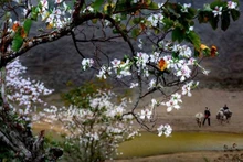 La beauté vierge des grandes forêts du Nord-Ouest à Dien Bien. Photo : baovanhoa.vn