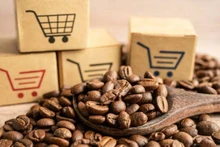 Au cours des six premiers mois de l’année, la valeur des exportations de café a atteint 5,5 milliards de dollars, en forte hausse par rapport aux 2,7 milliards de dollars enregistrés à la même période de l’année dernière. Photo : congthuong.vn