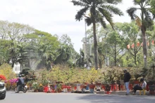 Le marché aux fleurs, aux plantes ornementales et aux arts traditionnels dans le quartier de Buon Ma Thuot. Photo : VOV.