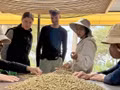 Des visiteurs découvrent le parcours du café, de la plantation jusqu’à la tasse, à Buon Ma Thuot (province de Dak Lak). Photo : VOV.