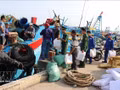 Dans la province de Dong Thap, les gardes-frontières sensibilisent les pêcheurs du port de pêche de Vam Lang, commune de Gia Thuan, à la prévention et à la lutte contre la pêche INN. Photo : VNA. 