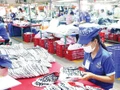 Des ouvriers au travail dans une entreprise privée de la province de Dong Nai. Photo : nhandan.vn