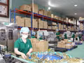 Une entreprise de production de nids de salanganes à Khanh Hoa. Photo : VNA.