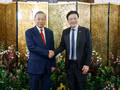 Le secrétaire général du Parti communiste du Vietnam (PCV) et président vietnamien, To Lam (gauche), et le Premier ministre singapourien, Lawrence Wong. Photo : VNA.