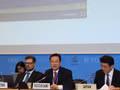 L’ambassadeur Mai Phan Dung s'exprime lors de la session. Photo: VNA