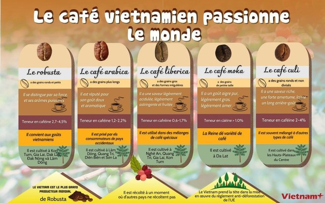 En 2024, les exportations de café ont rapporté 5,48 milliards de dollars de dollars. Infographie : VietnamPlus. En 2024, les exportations de café ont rapporté 5,48 milliards de dollars de dollars. Infographie : VietnamPlus.