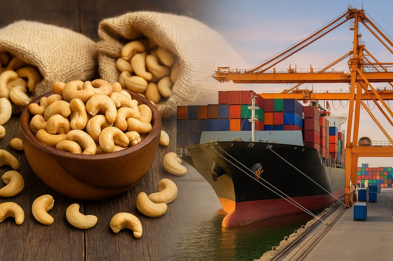 Les coûts logistiques et la volatilité des taux de change demeurent des facteurs majeurs influençant l’efficacité des exportations. b.png