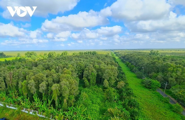 Vue aérienne de la forêt d’U Minh Ha Vue aérienne de la forêt d’U Minh Ha