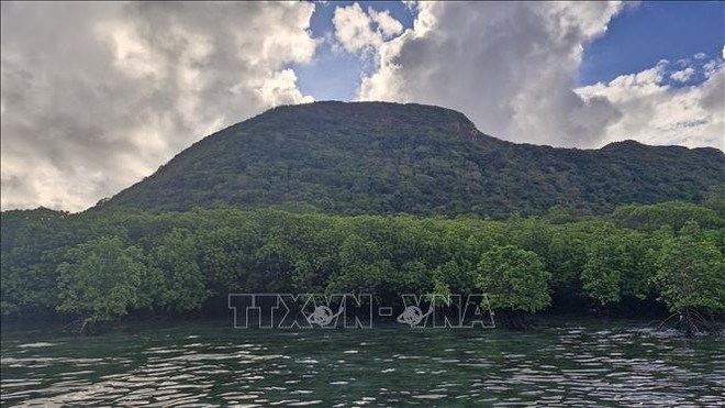 La reforestation des mangroves, la restauration des récifs coralliens et la protection des herbiers marins sont essentielles pour renforcer la capacité de stockage du carbone, tout en protégeant les côtes. Photo : VNA. La reforestation des mangroves, la restauration des récifs coralliens et la protection des herbiers marins sont essentielles pour renforcer la capacité de stockage du carbone, tout en protégeant les côtes. Photo : VNA.