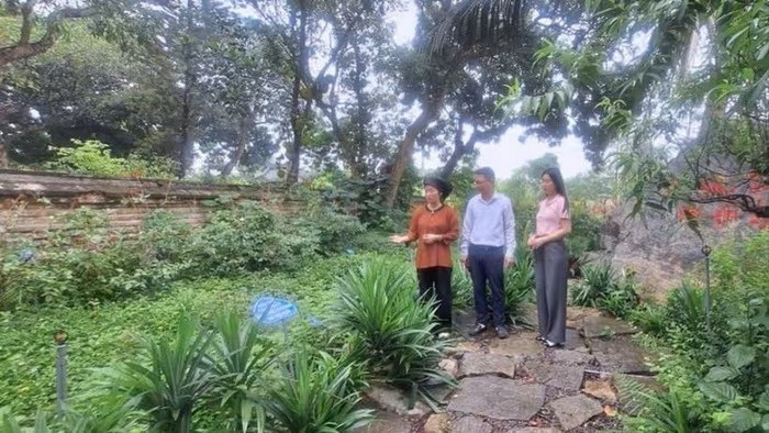 Le jardin de plantes médicinales dans l'enceinte du temple Nguyen dans la commune de Tien Thang, district de Gia Vien (Ninh Binh). 2.jpg