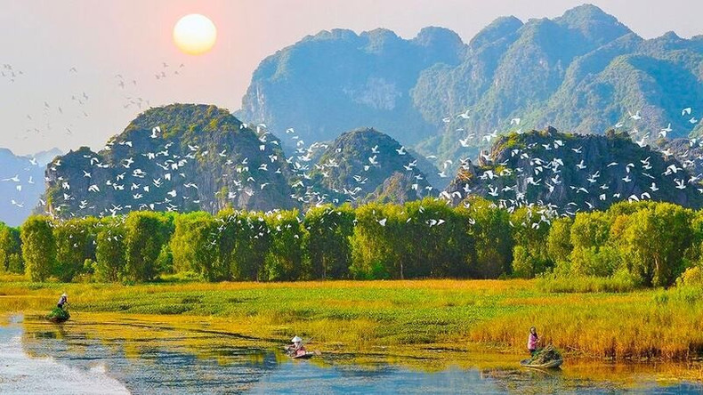 La Réserve naturelle humide de Van Long est classée site Ramsar depuis 2018. 1.jpg