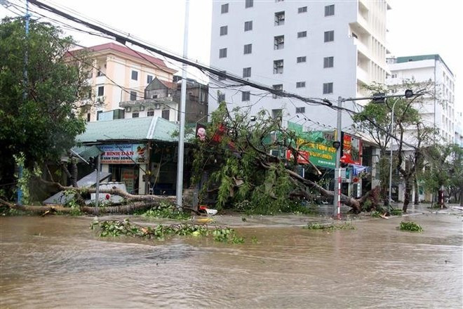 Inondation à Nghe An. Photo : VNA. Inondation à Nghe An. Photo : VNA.