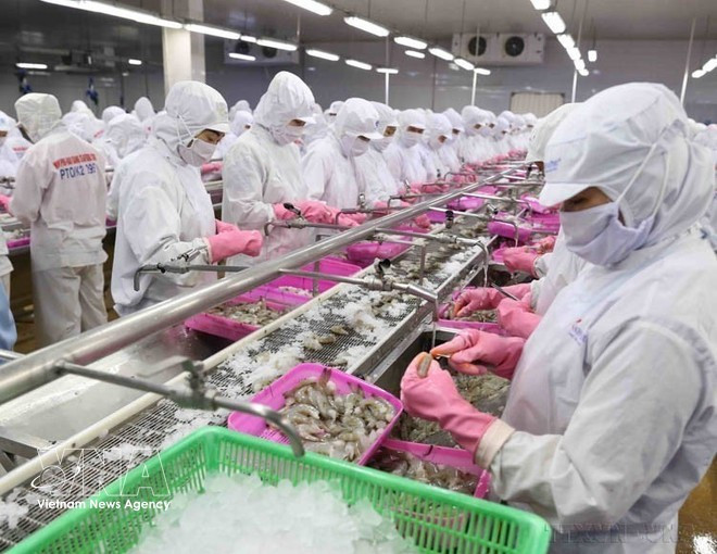Les produits de la mer figurent parmi les principaux produits d'exportation du Vietnam. Photo d'illustration : VNA
