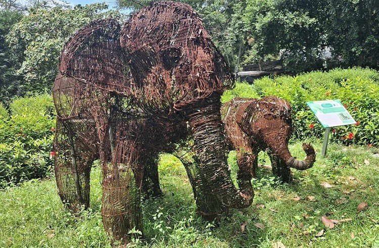 Une sculpture « particulière » représentant une mère éléphant et son petit, fabriquée à partir de milliers de pièges et câbles saisis dans la forêt du parc national de Pu Mat. 2.jpg