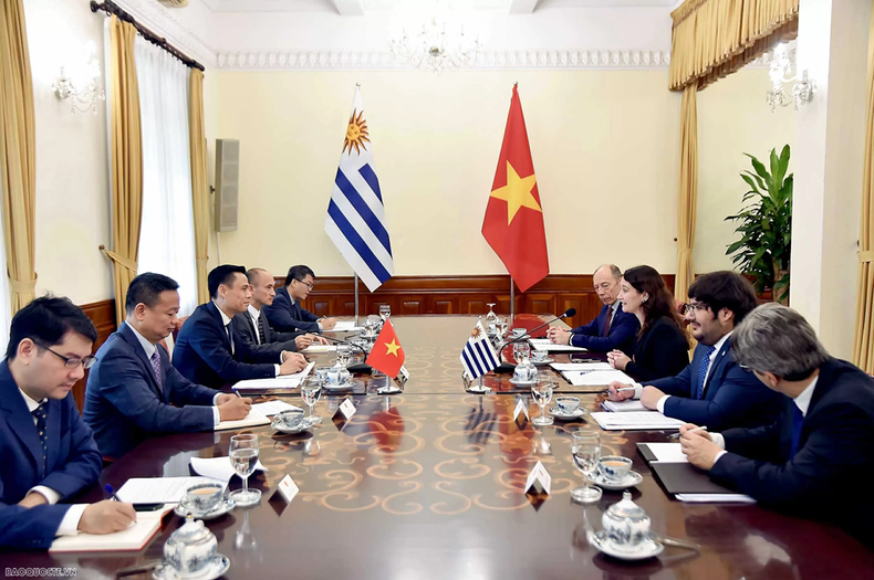 À l’occasion de leur cinquième consultation politique, le Vietnam et l’Uruguay ont affiché la volonté : renforcer les liens bilatéraux, coopérer dans les forums multilatéraux et envisager un futur accord de libre-échange avec le MERCOSUR. b.png