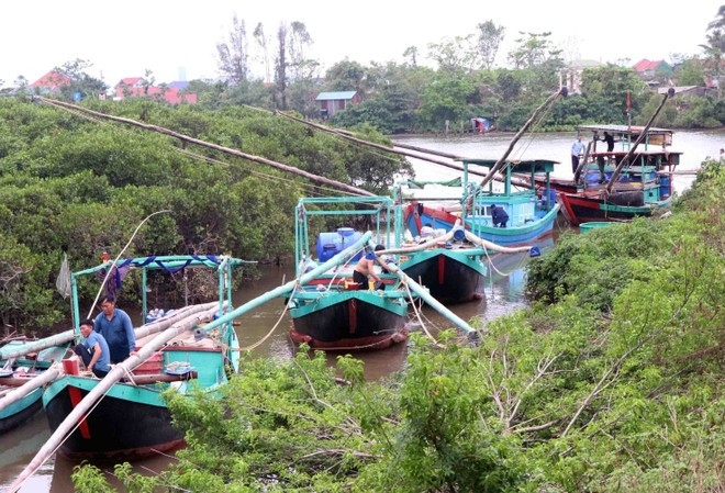 Les habitants de la commune de Thach Khe empruntent des bateaux et des embarcations pour se mettre à l'abri du typhon à Thach Khe, province de Ha Tinh. Photo : VNA Les habitants de la commune de Thach Khe empruntent des bateaux et des embarcations pour se mettre à l'abri du typhon à Thach Khe, province de Ha Tinh. Photo : VNA