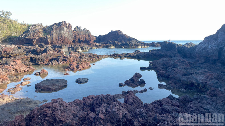 Le charme sauvage de Hon Tranh attire de nombreux visiteurs.
