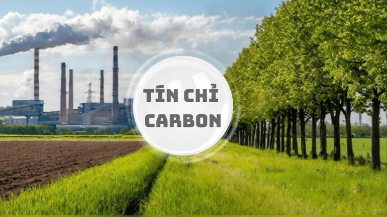 Le crédit carbone permet non seulement d’atteindre la neutralité carbone, mais aussi de générer des ressources économiques pour les générations futures. 1.jpg
