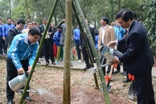 Les responsables de l’Union de la Jeunesse communiste Hô Chi Minh et du district de Dông Anh plantent des arbres. Photo: NDEL.