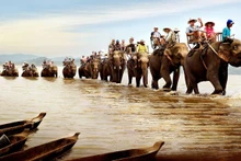 Photo: baolamdong.com.vn.
