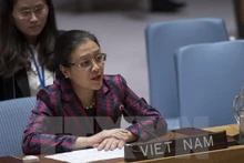 L'ambassadrice Nguyên Phuong Nga, représentante en chef de la Mission du Vietnam auprès de l’ONU. Photo: VNA. 
