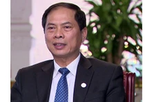 Le vice-ministre des Affaires étrangères, Bùi Thanh Son. Photo : NDEL.