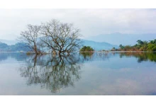 Le parc national de Vu Quang (dans la province de Hà Tinh). Photo : https://dantri.com.vn/