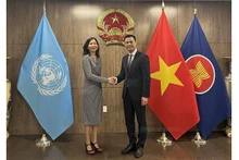 La coordonnatrice résidente de l’ONU, Pauline Tamesis (à gauche) et le représentant permanent du Vietnam auprès de l’ONU, Dang Hoàng Giang. Photo : VNA.