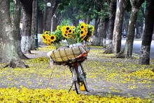 Photo d'illustration : Journal Thoi Dai.