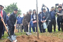 Lancement de la Fête de plantation d’arbres 2018 à Bac Ninh, le 25 février. Photo : voh.com.vn.