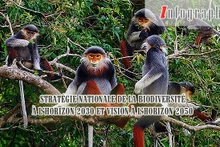 [Infographie] Stratégie nationale de la biodiversité à l’horizon 2030 et vision à l’horizon 2050