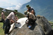 Les rochers dans les champs en terrasse et au sommet d'une montagne. Photo: Ngoc Thanh.